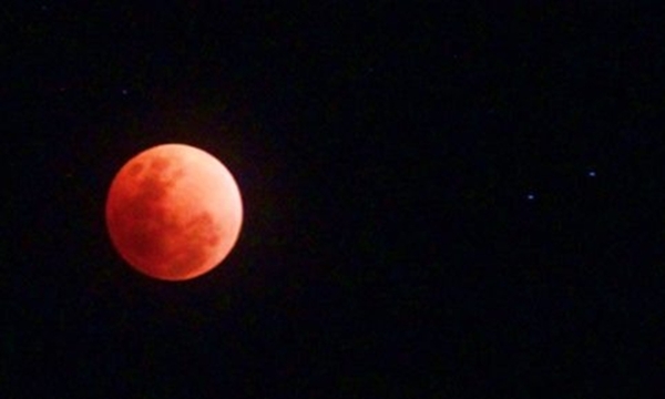 image1 (1) image1 (1)