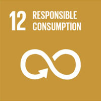 12 Responsible Consumption