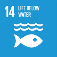 14 Life Below Water