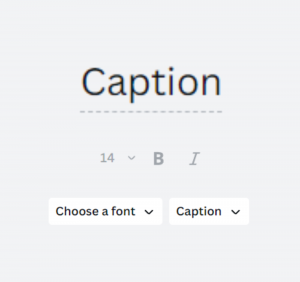 Canva Brandkit Caption