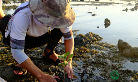 Lasallians make ripples of change in Lian, Batangas through EHEMPLO 2024