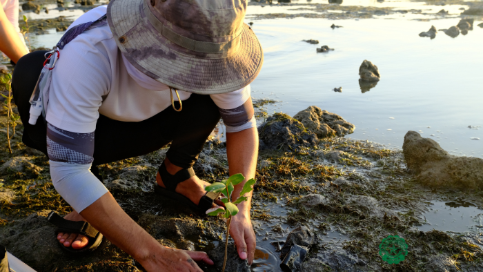 Lasallians make ripples of change in Lian, Batangas through EHEMPLO 2024