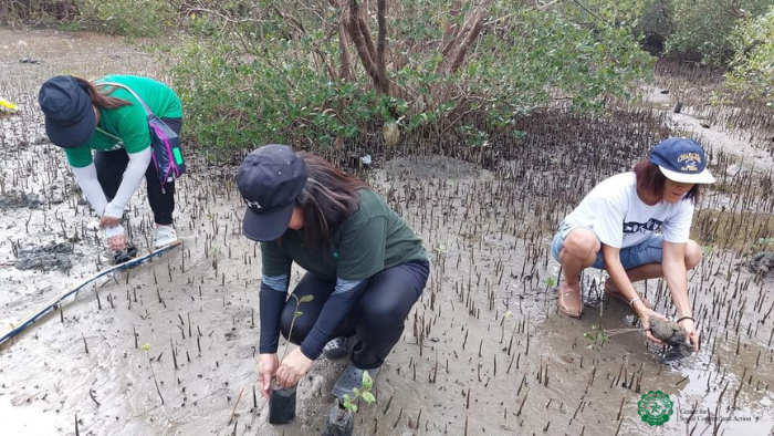 DLSU Personnel Engage in Mangrove Planting Initiative